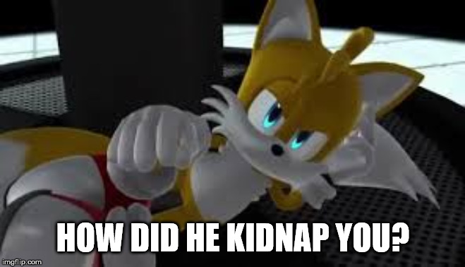 bored tails | HOW DID HE KIDNAP YOU? | image tagged in bored tails | made w/ Imgflip meme maker