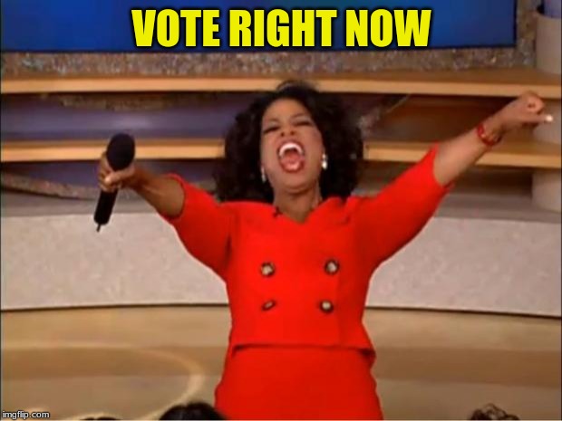 Oprah You Get A Meme | VOTE RIGHT NOW | image tagged in memes,oprah you get a | made w/ Imgflip meme maker