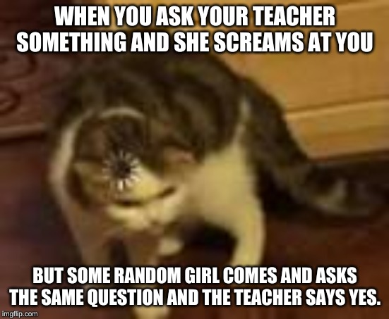 for real though | WHEN YOU ASK YOUR TEACHER SOMETHING AND SHE SCREAMS AT YOU; BUT SOME RANDOM GIRL COMES AND ASKS THE SAME QUESTION AND THE TEACHER SAYS YES. | image tagged in fun,funny,annoying | made w/ Imgflip meme maker