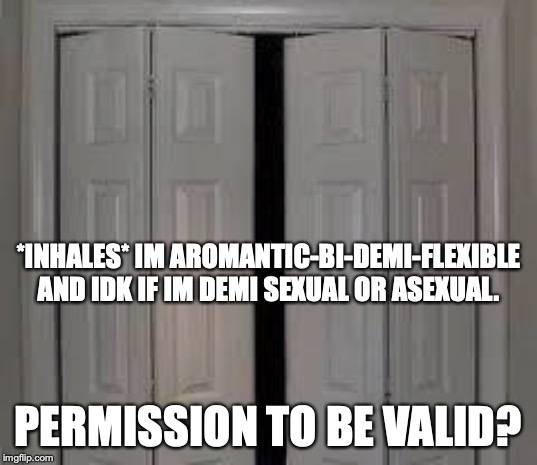 closet | *INHALES* IM AROMANTIC-BI-DEMI-FLEXIBLE AND IDK IF IM DEMI SEXUAL OR ASEXUAL. PERMISSION TO BE VALID? | image tagged in closet | made w/ Imgflip meme maker