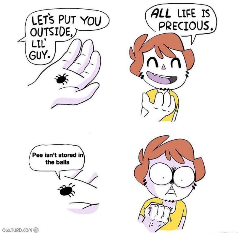 LIFE IS PRECIOUS BUT YOU Blank Meme Template