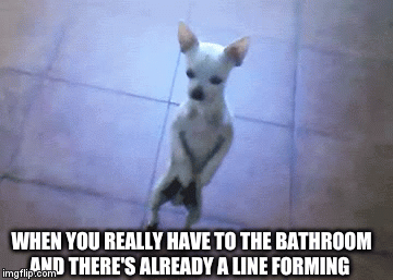 AH COME ON! | WHEN YOU REALLY HAVE TO THE BATHROOM AND THERE'S ALREADY A LINE FORMING | image tagged in gifs,doge | made w/ Imgflip video-to-gif maker