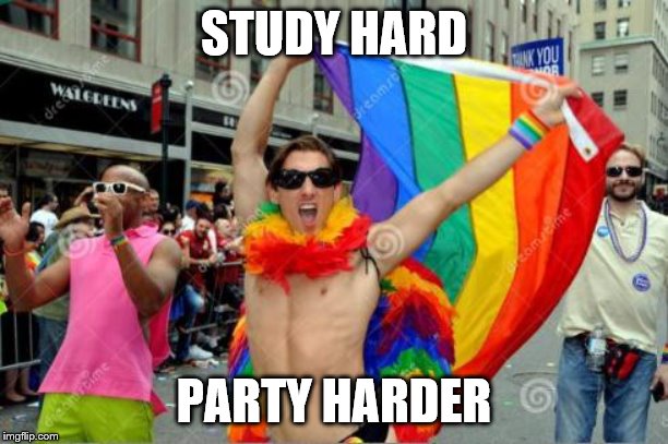 gay sorry 'bout the tag before | STUDY HARD; PARTY HARDER | image tagged in gay sorry 'bout the tag before | made w/ Imgflip meme maker