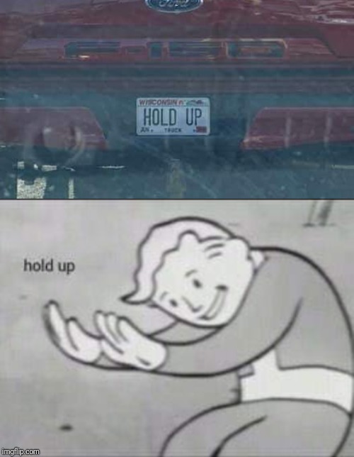  HOLD UP | image tagged in memes,fallout hold up,so true memes,memes about memes,meanwhile on imgflip | made w/ Imgflip meme maker