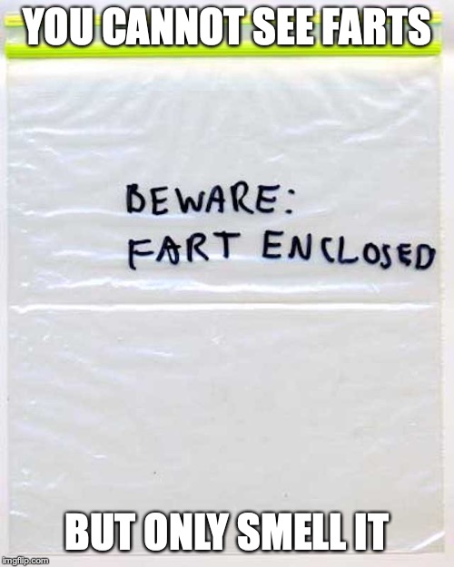 Fart Enclosed | YOU CANNOT SEE FARTS; BUT ONLY SMELL IT | image tagged in fart,memes | made w/ Imgflip meme maker