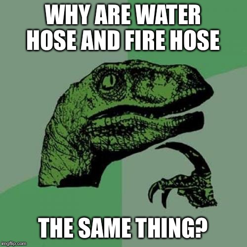 They are the same picture. | WHY ARE WATER HOSE AND FIRE HOSE; THE SAME THING? | image tagged in memes,philosoraptor,funny,water,fire,same | made w/ Imgflip meme maker