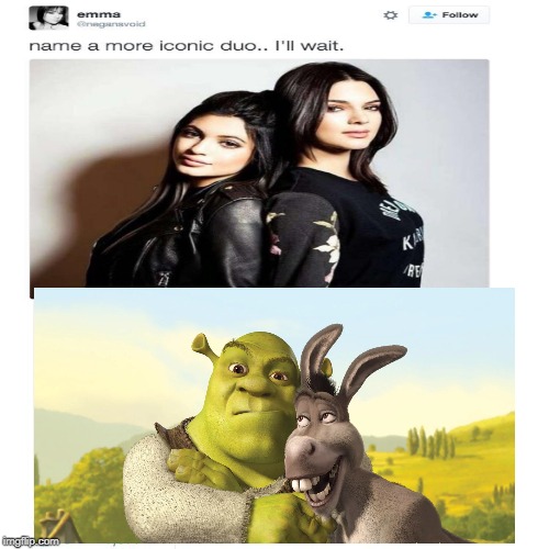 Im not wrong | image tagged in shrekt | made w/ Imgflip meme maker