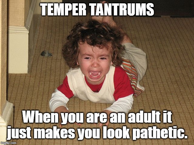 Temper tantrum |  TEMPER TANTRUMS; When you are an adult it just makes you look pathetic. | image tagged in temper tantrum | made w/ Imgflip meme maker