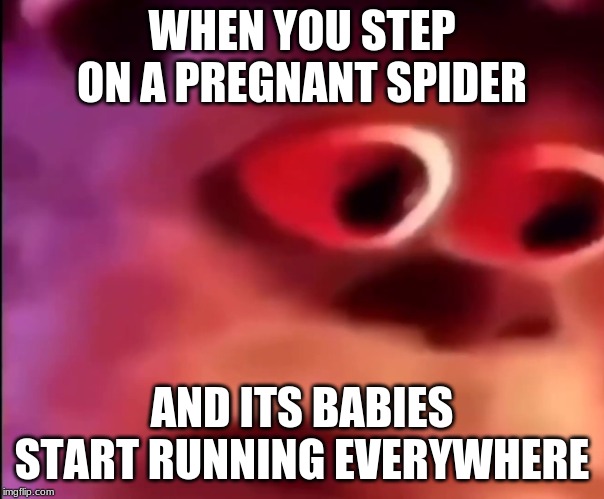 Sully | WHEN YOU STEP ON A PREGNANT SPIDER; AND ITS BABIES START RUNNING EVERYWHERE | image tagged in fun,sully | made w/ Imgflip meme maker