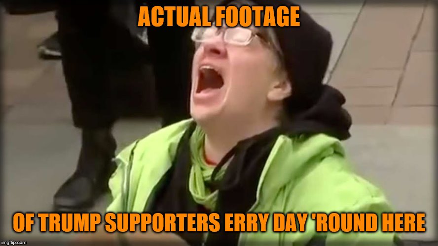 Hmmm, who sounds angrier around here on a daily basis? | ACTUAL FOOTAGE; OF TRUMP SUPPORTERS ERRY DAY 'ROUND HERE | image tagged in trump sjw no,conservatives,liberal vs conservative,triggered,sjw triggered,right wing | made w/ Imgflip meme maker