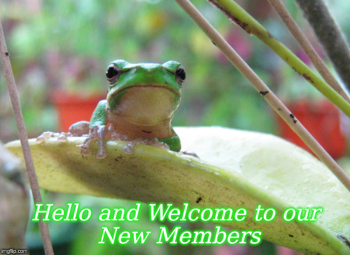 Hello and Welcome to our New Members | Hello and Welcome to our
 New Members | image tagged in welcome,memes,frogs | made w/ Imgflip meme maker