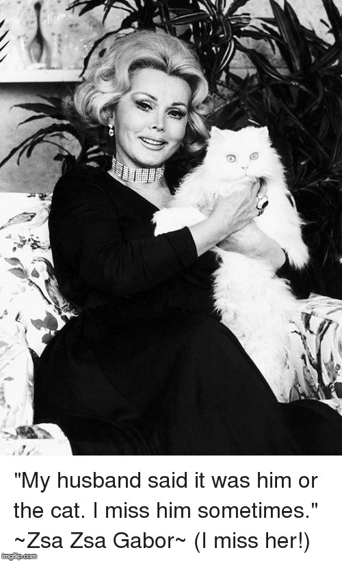 Zsa Zsa Gabor Dahhh-ling :) | image tagged in zsa zsa,gabor,cat,cat memes | made w/ Imgflip meme maker