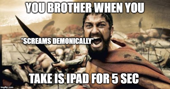 Sparta Leonidas Meme | YOU BROTHER WHEN YOU; *SCREAMS DEMONICALLY*; TAKE IS IPAD FOR 5 SEC | image tagged in memes,sparta leonidas | made w/ Imgflip meme maker