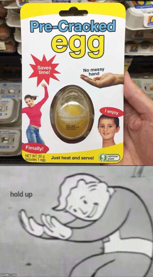 image tagged in fallout hold up | made w/ Imgflip meme maker