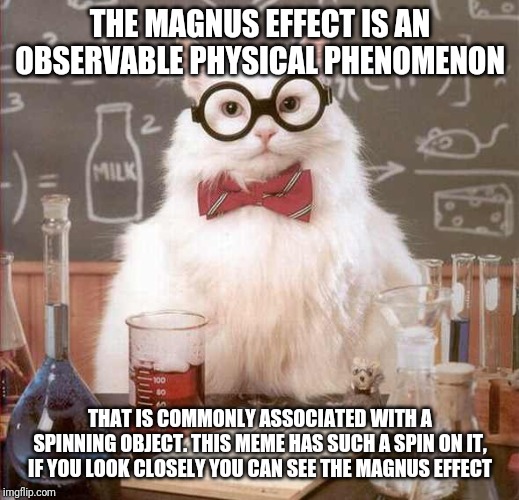 cat scientist | THE MAGNUS EFFECT IS AN OBSERVABLE PHYSICAL PHENOMENON THAT IS COMMONLY ASSOCIATED WITH A SPINNING OBJECT. THIS MEME HAS SUCH A SPIN ON IT,  | image tagged in cat scientist | made w/ Imgflip meme maker