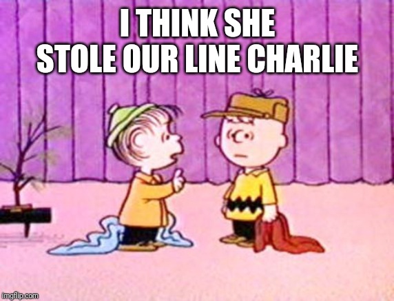 Charlie Brown and Linus | I THINK SHE STOLE OUR LINE CHARLIE | image tagged in charlie brown and linus | made w/ Imgflip meme maker