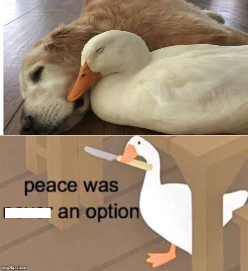 untitled goose peace was never an option Memes & GIFs - Imgflip