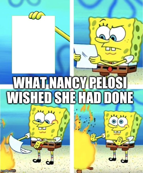 Spongebob Burning Paper | WHAT NANCY PELOSI WISHED SHE HAD DONE | image tagged in spongebob burning paper | made w/ Imgflip meme maker