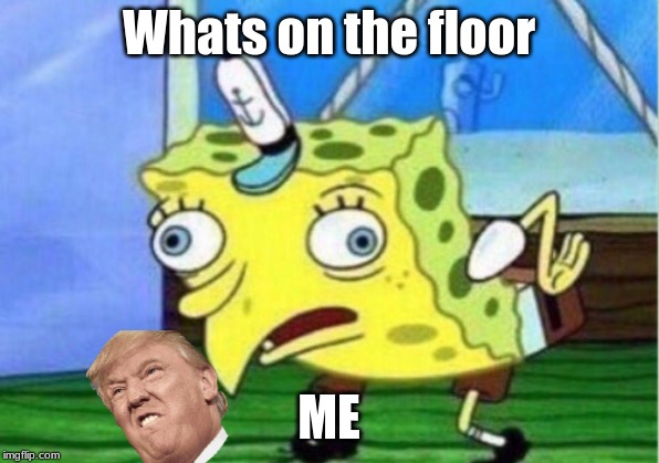 Mocking Spongebob | Whats on the floor; ME | image tagged in memes,mocking spongebob | made w/ Imgflip meme maker
