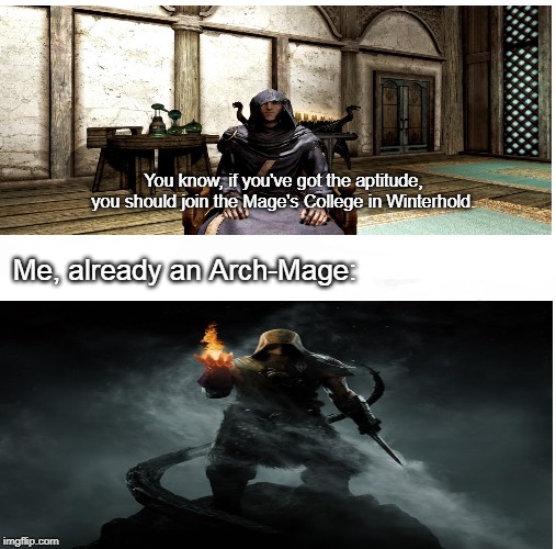 When you playing Skyrim too much | You know, if you've got the aptitude, you should join the Mage's College in Winterhold. Me, already an Arch-Mage: | image tagged in skyrim,skyrim meme,skyrim mages | made w/ Imgflip meme maker