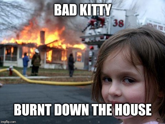 Disaster Girl Meme | BAD KITTY; BURNT DOWN THE HOUSE | image tagged in memes,disaster girl | made w/ Imgflip meme maker