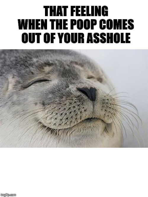 Satisfied Seal Meme | THAT FEELING WHEN THE POOP COMES OUT OF YOUR ASSHOLE | image tagged in memes,satisfied seal | made w/ Imgflip meme maker
