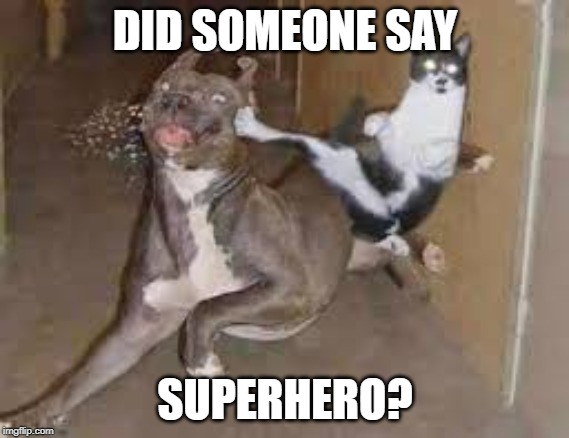 did some one say ____???? | DID SOMEONE SAY; SUPERHERO? | image tagged in did some one say ____ | made w/ Imgflip meme maker