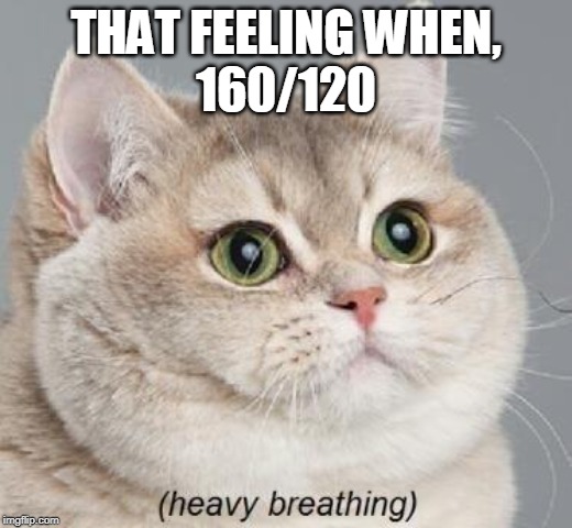Heavy Breathing Cat Meme | THAT FEELING WHEN,

160/120 | image tagged in memes,heavy breathing cat | made w/ Imgflip meme maker