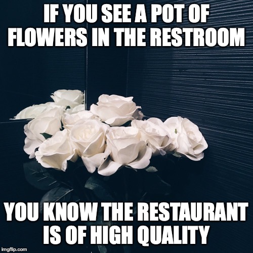 Pot of Flowers Inside Restroom | IF YOU SEE A POT OF FLOWERS IN THE RESTROOM; YOU KNOW THE RESTAURANT IS OF HIGH QUALITY | image tagged in restaurant,restroom,memes,flowers | made w/ Imgflip meme maker