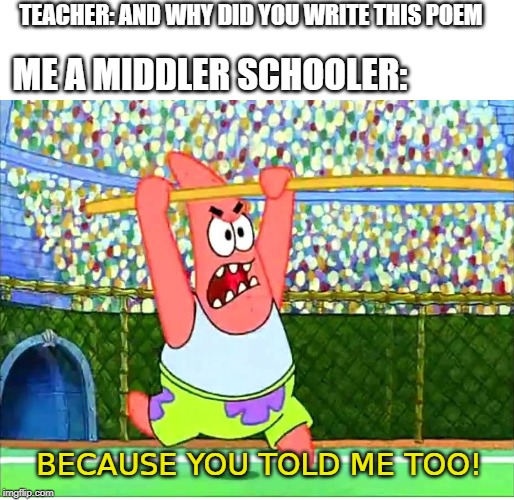 Because you told me to | TEACHER: AND WHY DID YOU WRITE THIS POEM; ME A MIDDLER SCHOOLER:; BECAUSE YOU TOLD ME TOO! | image tagged in because you told me to,middle school,so true | made w/ Imgflip meme maker