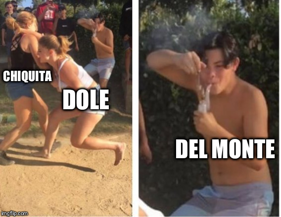 Dabbing Dude | CHIQUITA; DOLE; DEL MONTE | image tagged in dabbing dude | made w/ Imgflip meme maker