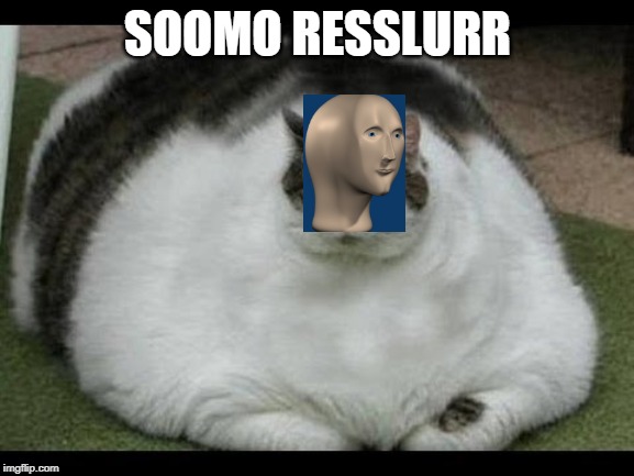 Fat Cat | SOOMO RESSLURR | image tagged in fat cat | made w/ Imgflip meme maker