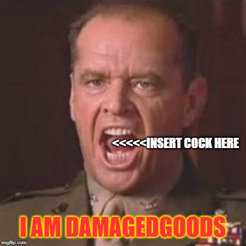 You can't handle the truth | <<<<<INSERT COCK HERE I AM DAMAGEDGOODS | image tagged in you can't handle the truth | made w/ Imgflip meme maker