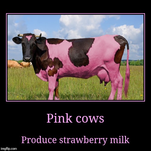 image tagged in funny,demotivationals,cow,pink cow | made w/ Imgflip demotivational maker