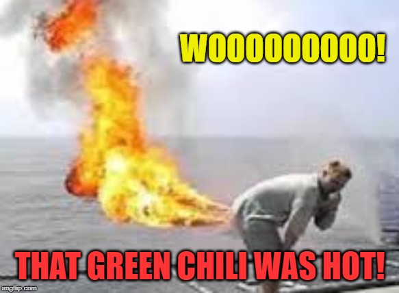 Too Hot | WOOOOOOOOO! THAT GREEN CHILI WAS HOT! | image tagged in hot,hot chilis,green chili,green chilis,hot green chili,too hot | made w/ Imgflip meme maker