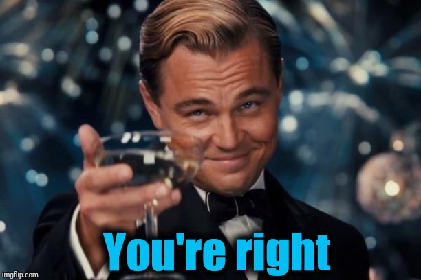 Leonardo Dicaprio Cheers Meme | You're right | image tagged in memes,leonardo dicaprio cheers | made w/ Imgflip meme maker