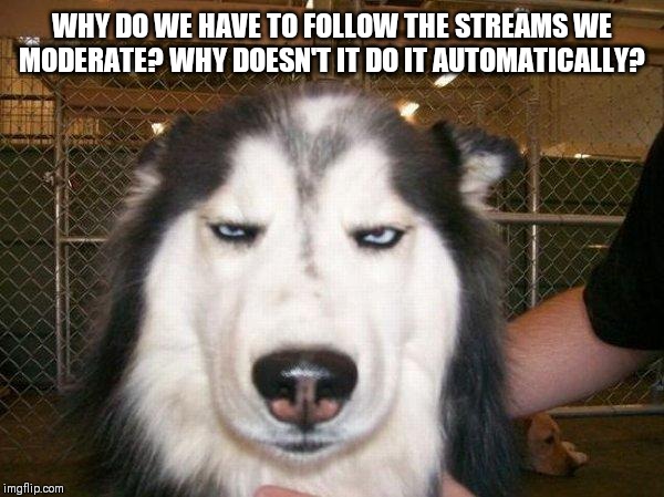 seriously_husky | WHY DO WE HAVE TO FOLLOW THE STREAMS WE MODERATE? WHY DOESN'T IT DO IT AUTOMATICALLY? | image tagged in seriously_husky | made w/ Imgflip meme maker