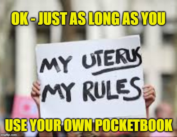 My Uterus My Pocketbook | OK - JUST AS LONG AS YOU; USE YOUR OWN POCKETBOOK | image tagged in abortion,politics,my uterus my rules,my uterus my choice,pro choice,pro life | made w/ Imgflip meme maker