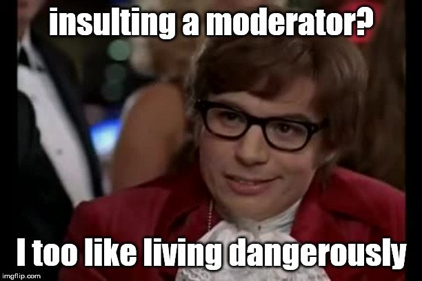 I Too Like To Live Dangerously Meme | insulting a moderator? I too like living dangerously | image tagged in memes,i too like to live dangerously | made w/ Imgflip meme maker