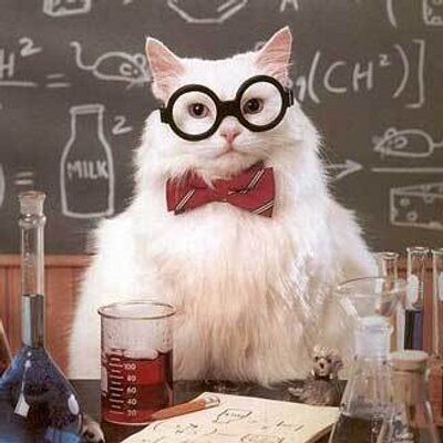 High Quality Scientific cat Blank Meme Template