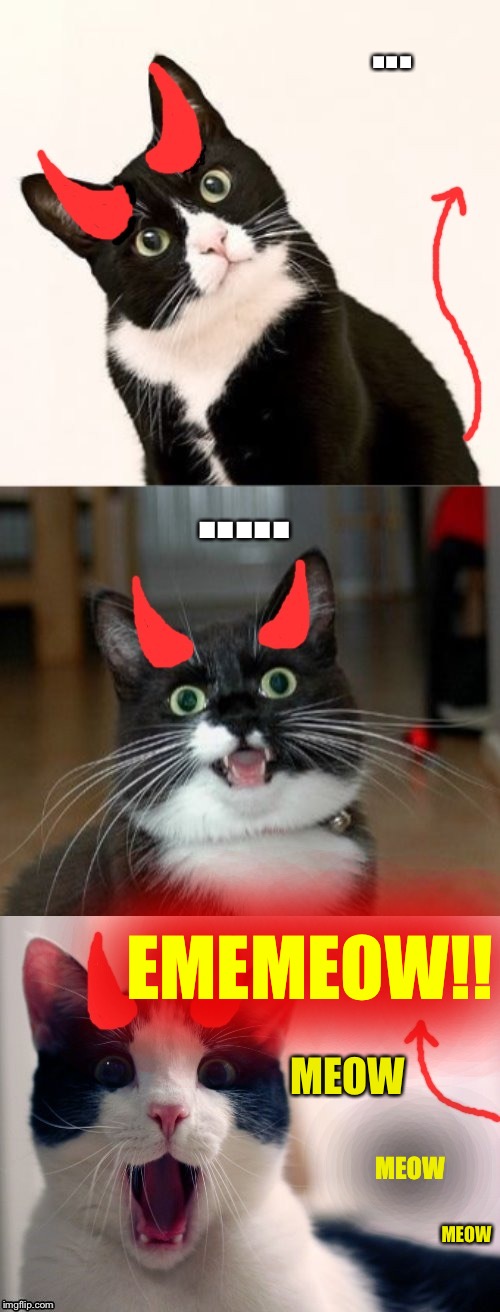 ..... | ... ..... EMEMEOW!! MEOW; MEOW; MEOW | image tagged in bad pun ememeon,funny memes,silly,imgflippers,cats,lolz | made w/ Imgflip meme maker