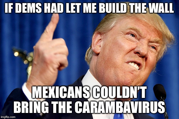 Donald Trump | IF DEMS HAD LET ME BUILD THE WALL; MEXICANS COULDN’T BRING THE CARAMBAVIRUS | image tagged in donald trump | made w/ Imgflip meme maker