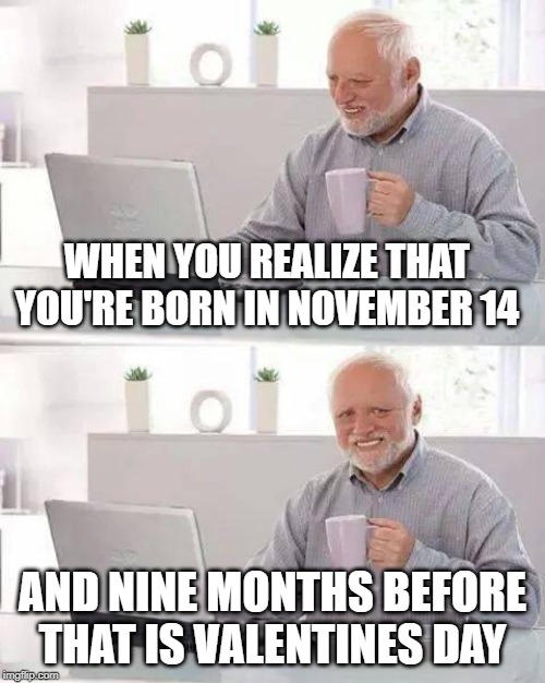 so your dads gift to your mom on Valentines day was you | WHEN YOU REALIZE THAT YOU'RE BORN IN NOVEMBER 14; AND NINE MONTHS BEFORE THAT IS VALENTINES DAY | image tagged in memes,hide the pain harold | made w/ Imgflip meme maker