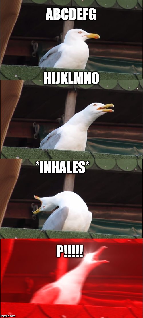 Inhaling Seagull | ABCDEFG; HIJKLMNO; *INHALES*; P!!!!! | image tagged in memes,inhaling seagull | made w/ Imgflip meme maker