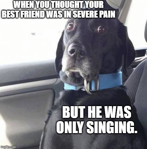 black lab wide eyed dog | WHEN YOU THOUGHT YOUR BEST FRIEND WAS IN SEVERE PAIN; BUT HE WAS ONLY SINGING. | image tagged in black lab wide eyed dog | made w/ Imgflip meme maker