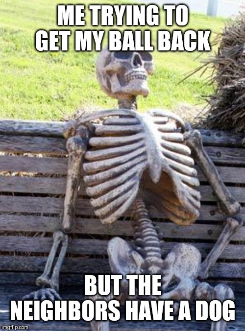 ME TRYING TO GET MY BALL BACK BUT THE NEIGHBORS HAVE A DOG | image tagged in memes,waiting skeleton | made w/ Imgflip meme maker