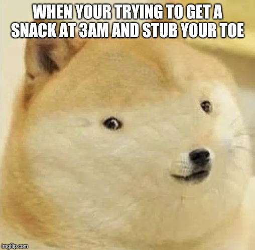 Doge tiny face | WHEN YOUR TRYING TO GET A SNACK AT 3AM AND STUB YOUR TOE | image tagged in doge tiny face | made w/ Imgflip meme maker