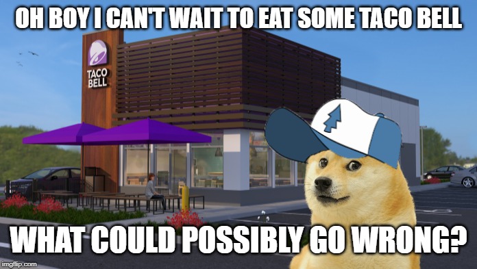 awful | OH BOY I CAN'T WAIT TO EAT SOME TACO BELL; WHAT COULD POSSIBLY GO WRONG? | image tagged in gravity falls | made w/ Imgflip meme maker