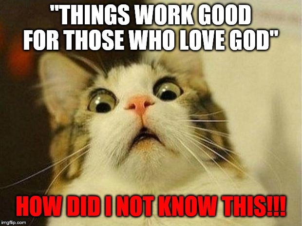 Scared Cat Meme | "THINGS WORK GOOD FOR THOSE WHO LOVE GOD"; HOW DID I NOT KNOW THIS!!! | image tagged in memes,scared cat | made w/ Imgflip meme maker