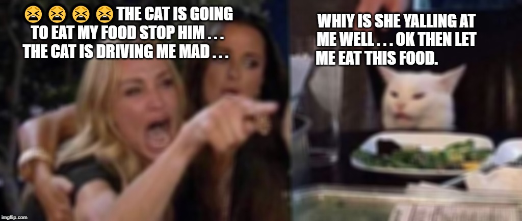 woman yelling at cat | 😫😫😫😫THE CAT IS GOING TO EAT MY FOOD STOP HIM . . . THE CAT IS DRIVING ME MAD . . . WHIY IS SHE YALLING AT ME WELL . . . OK THEN LET ME EAT THIS FOOD. | image tagged in woman yelling at cat | made w/ Imgflip meme maker